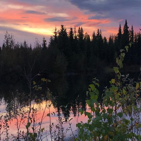 Alaska Log Cabins On The Pond Clear Creek Park Luaran gambar